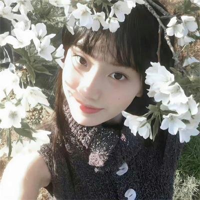 小菊的春天